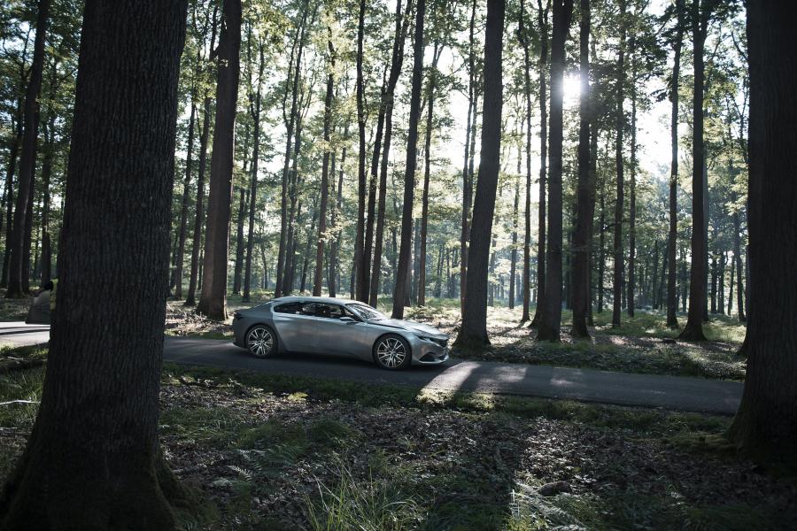  Peugeot Exalt Paris Concept 2014 года  (фото 2 из 13)